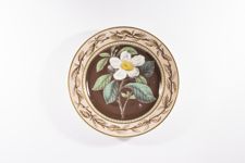 vergrößerte Ansicht des Objekts